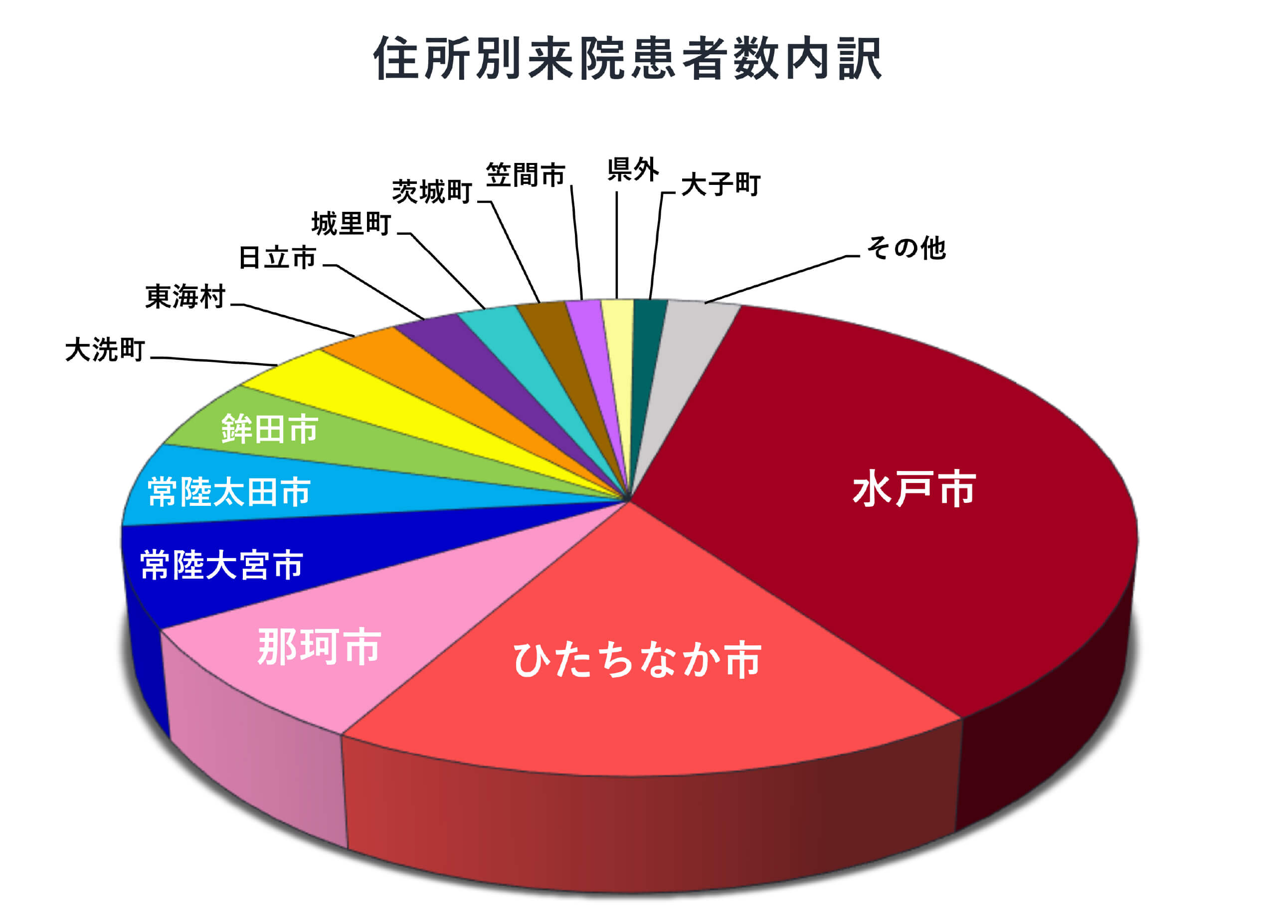 住所別来院患者数内訳