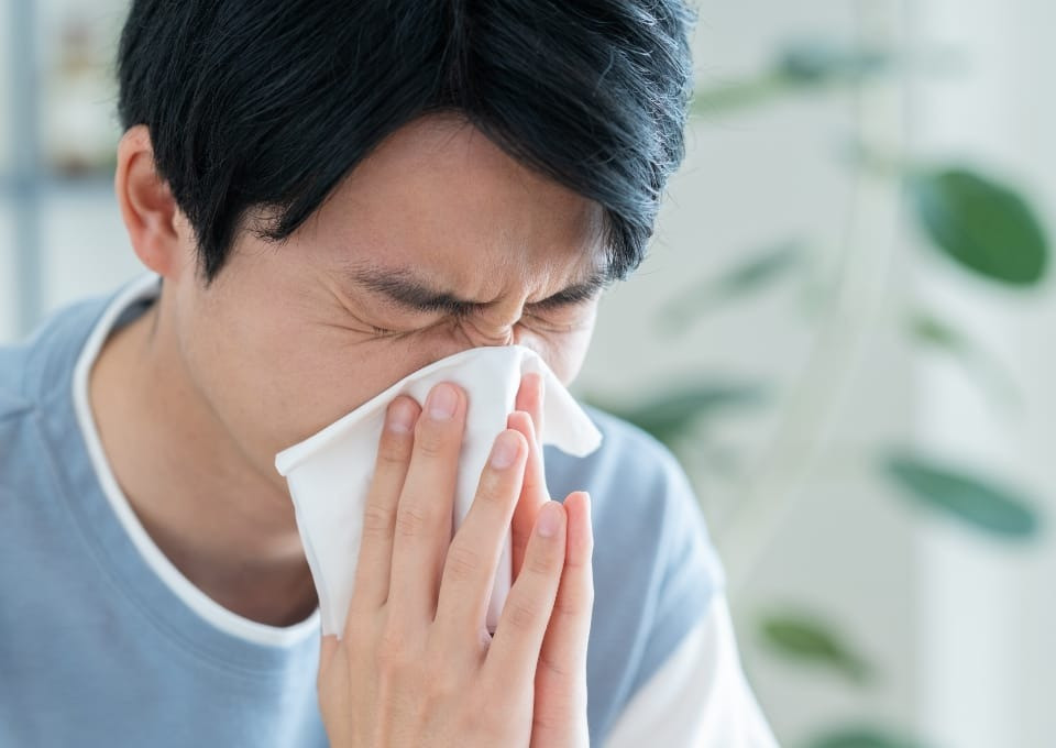 第9回　花粉症について（西森 薬剤師）